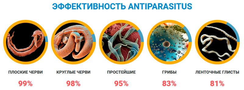 Результативность приема Antiparasitus