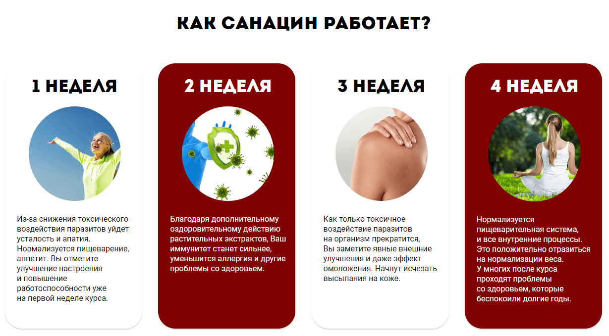 Санацин – механизм действия Санацин – механизм действия