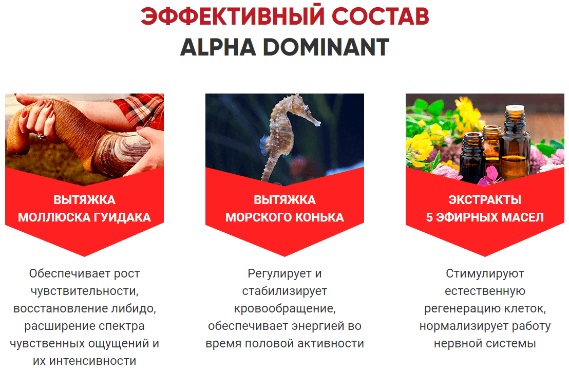 состав