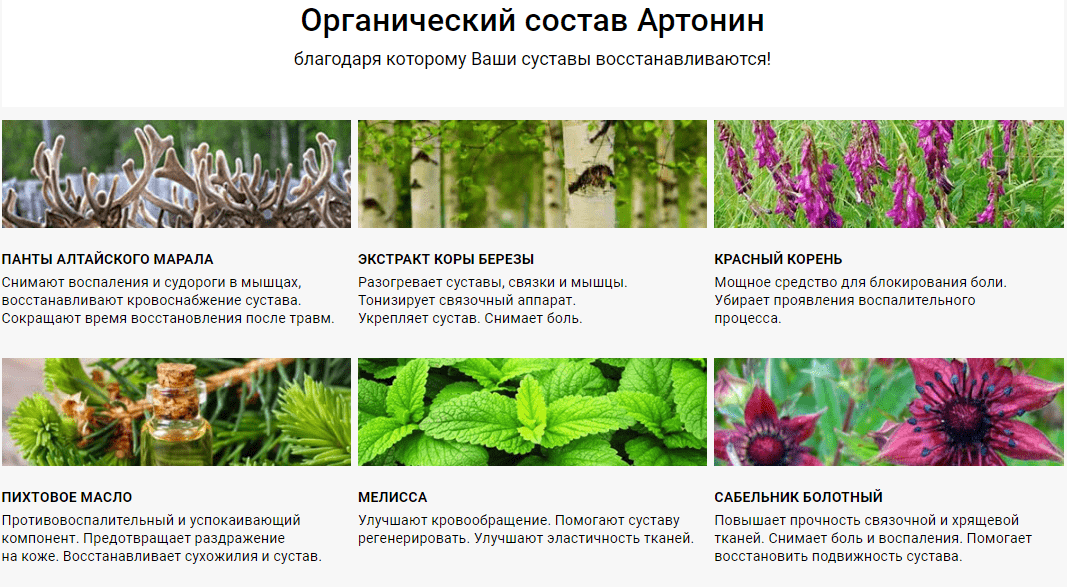 состав артонина
