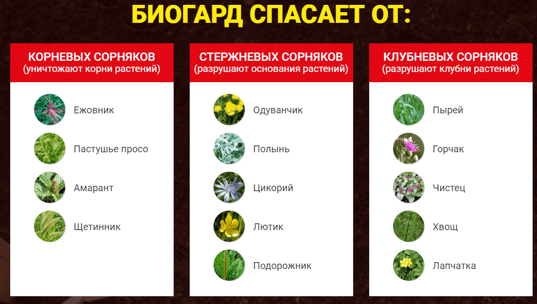 биогард спасет о различных видов сорняков