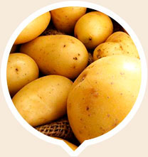 урожай картофеля
