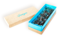 лед Surya