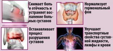 Sustal действие
