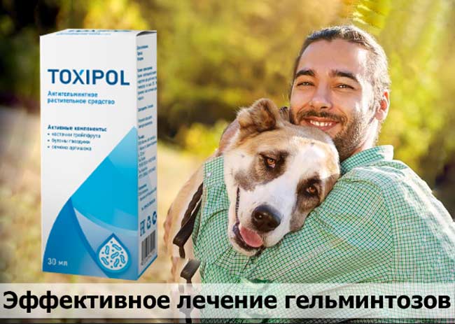 Токсипол
