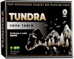 Таблетки Тундра Цена Где Купить