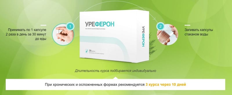 Урефрон отзывы. Урефрон. Урефрон препарат. Уреферон лекарство. Уреферон от недержания.