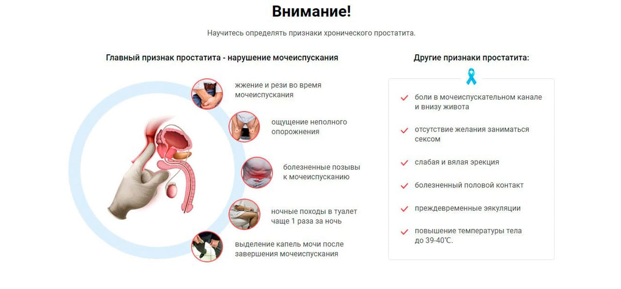 Влияние простаты на сексуальную активность у мужчин