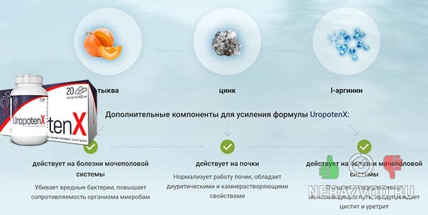 Uropotenx от непроизвольного мочеиспускания