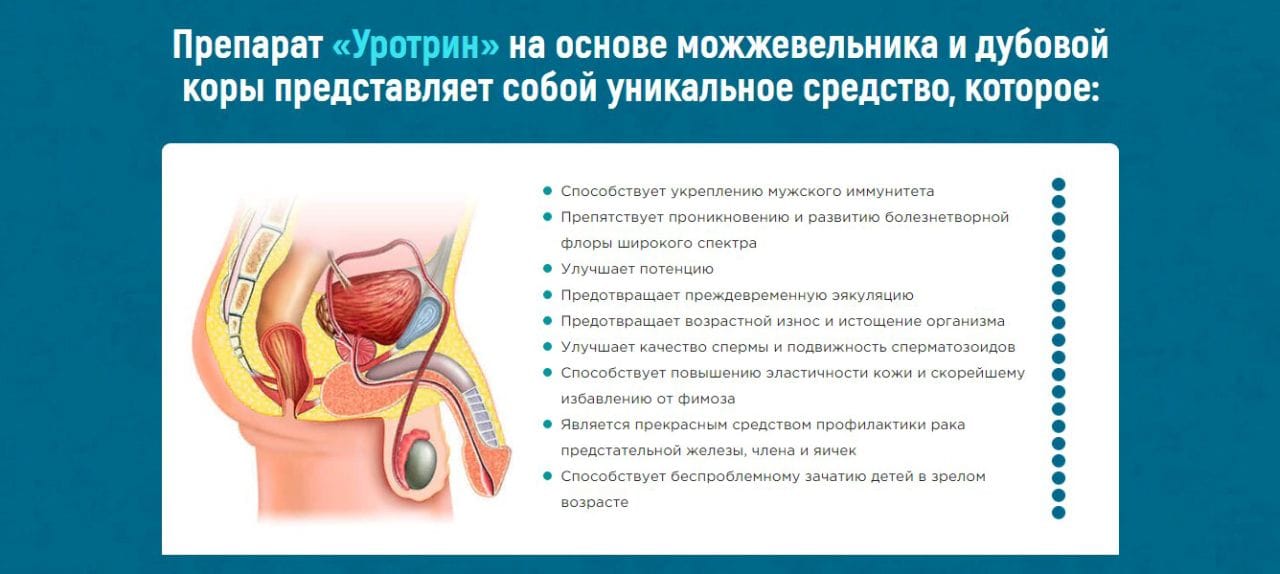 Простые методики как улучшить качество спермограммы