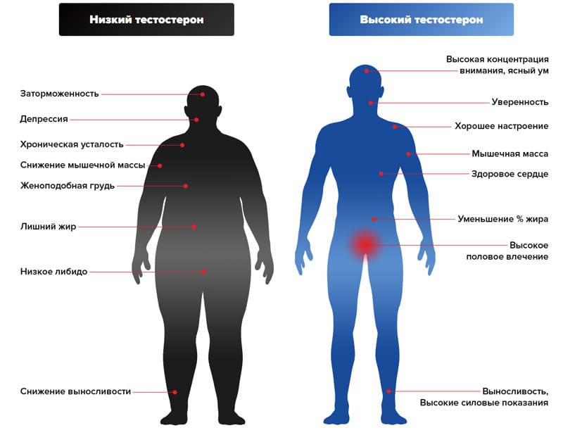 Гормональные нарушения у мужчин симптомы и признаки в картинках