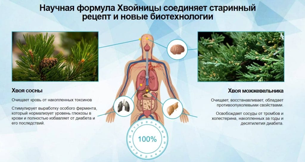 Хвойница состав
