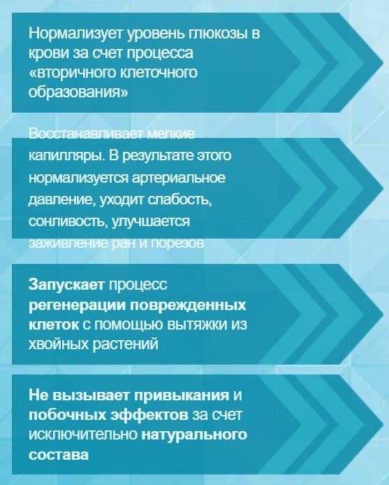 Хвойница легко нормализует уровень сахара в крови 