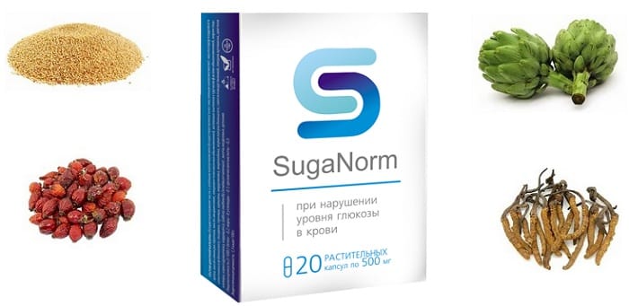 suganorm-komponenty