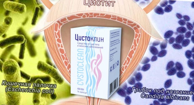 цистоклин отзывы